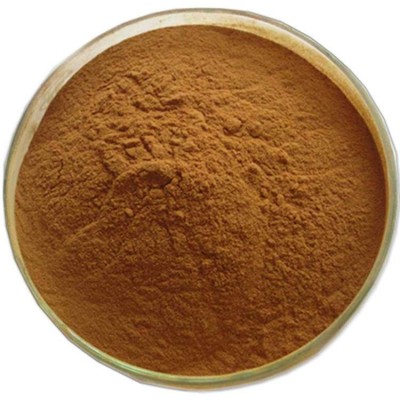 Burdock Seed extract Arctiin 10-40%